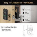 Smart Door Handle Lock — Fingerprint, Passcode & App Control