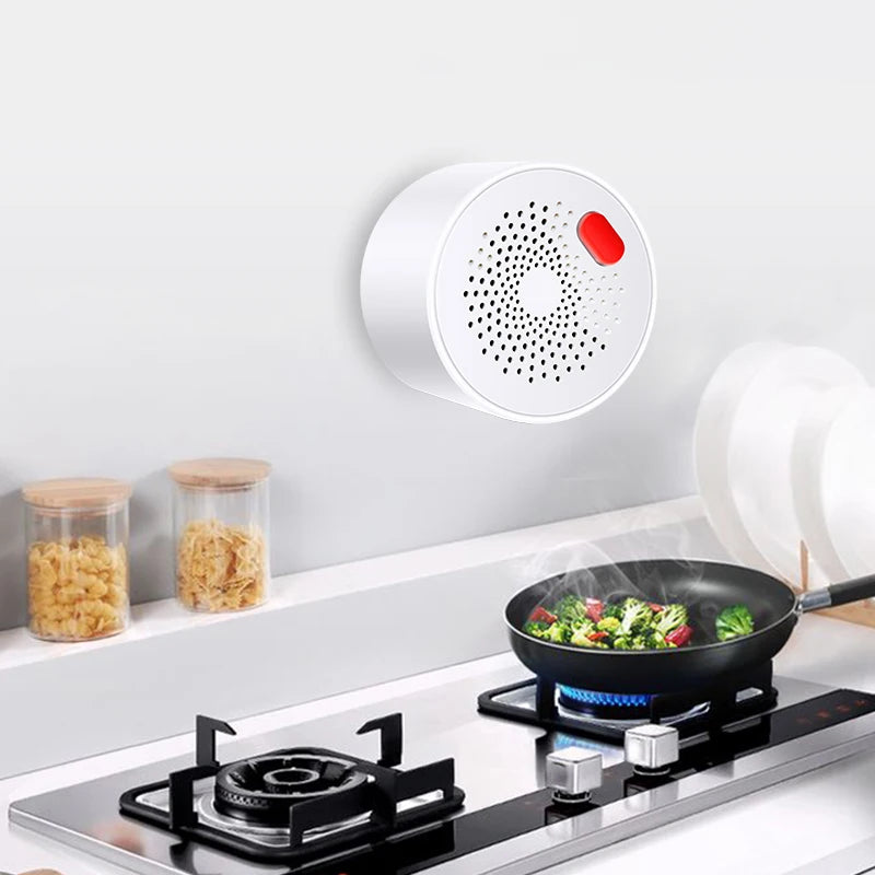 Smart WiFi Natural Gas Leak Sensor