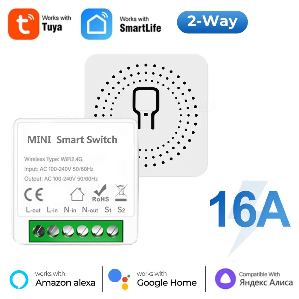 Smart WiFi Wall Switch Module (16A, Works with Alexa & Google Home)