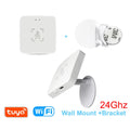24GHz mmWave Human Presence Sensor (Zigbee/WiFi)