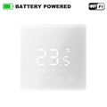 Smart Thermostat for Boiler & Water Heating — WiFi or Zigbee